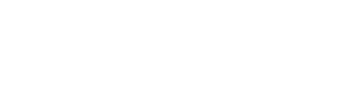 BIM
