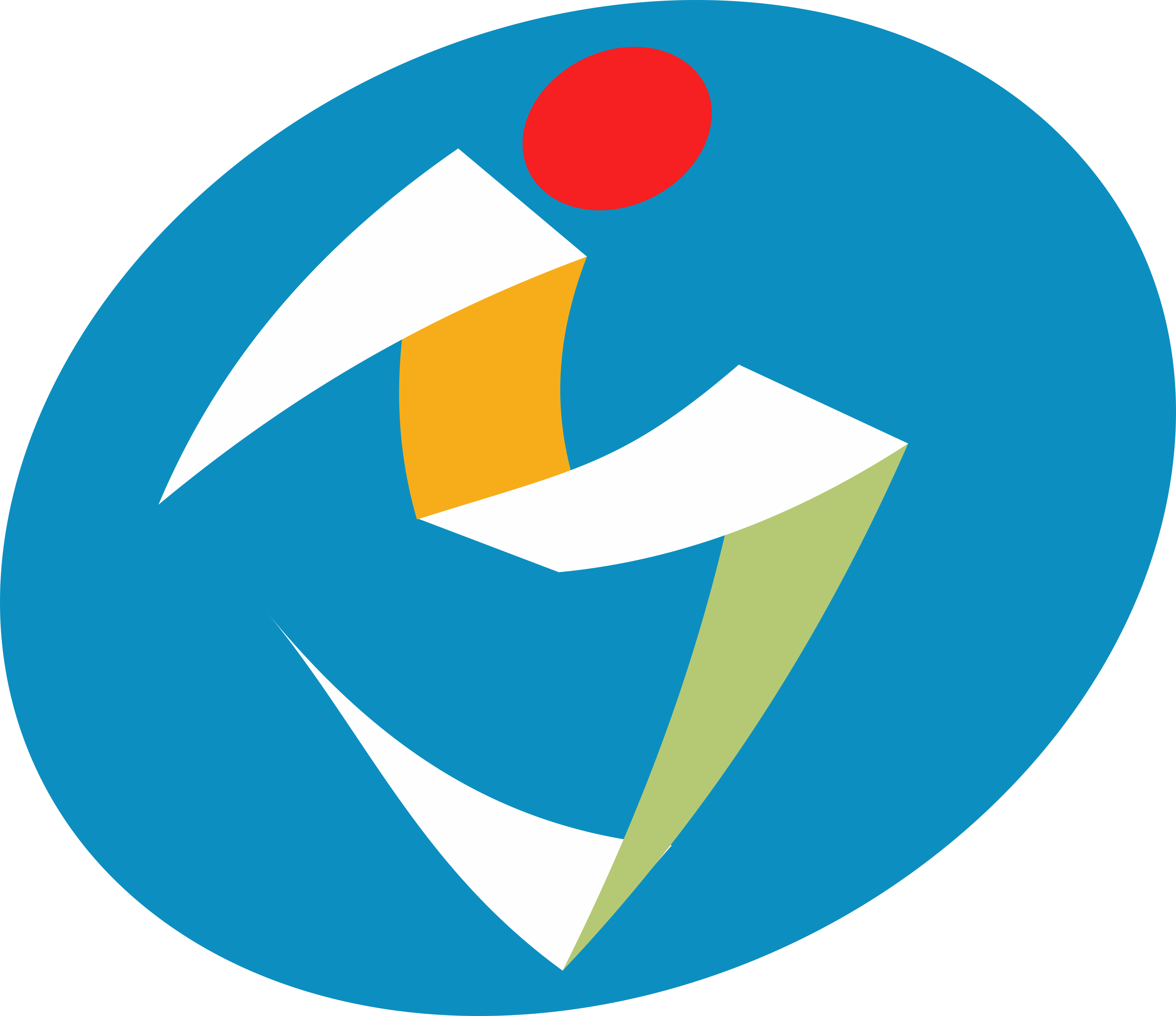BIM